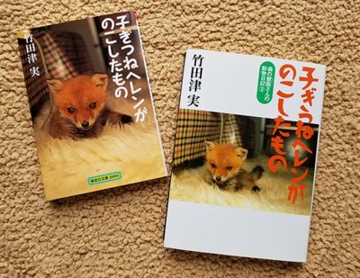 目が見えず 耳も聞こえないキツネの子が過ごした日々 子ぎつねヘレンがのこしたもの Kaisei Web 偕成社のウェブマガジン