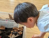 保育園の子どもたちは虫が大好き！　ぴったりなのは書籍『生きものつかまえたらどうする？』