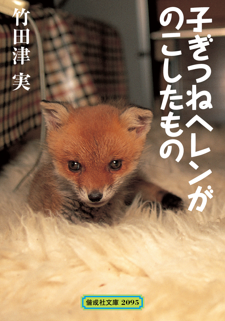 子ぎつねヘレンがのこしたもの - Kaisei web | 偕成社のウェブマガジン